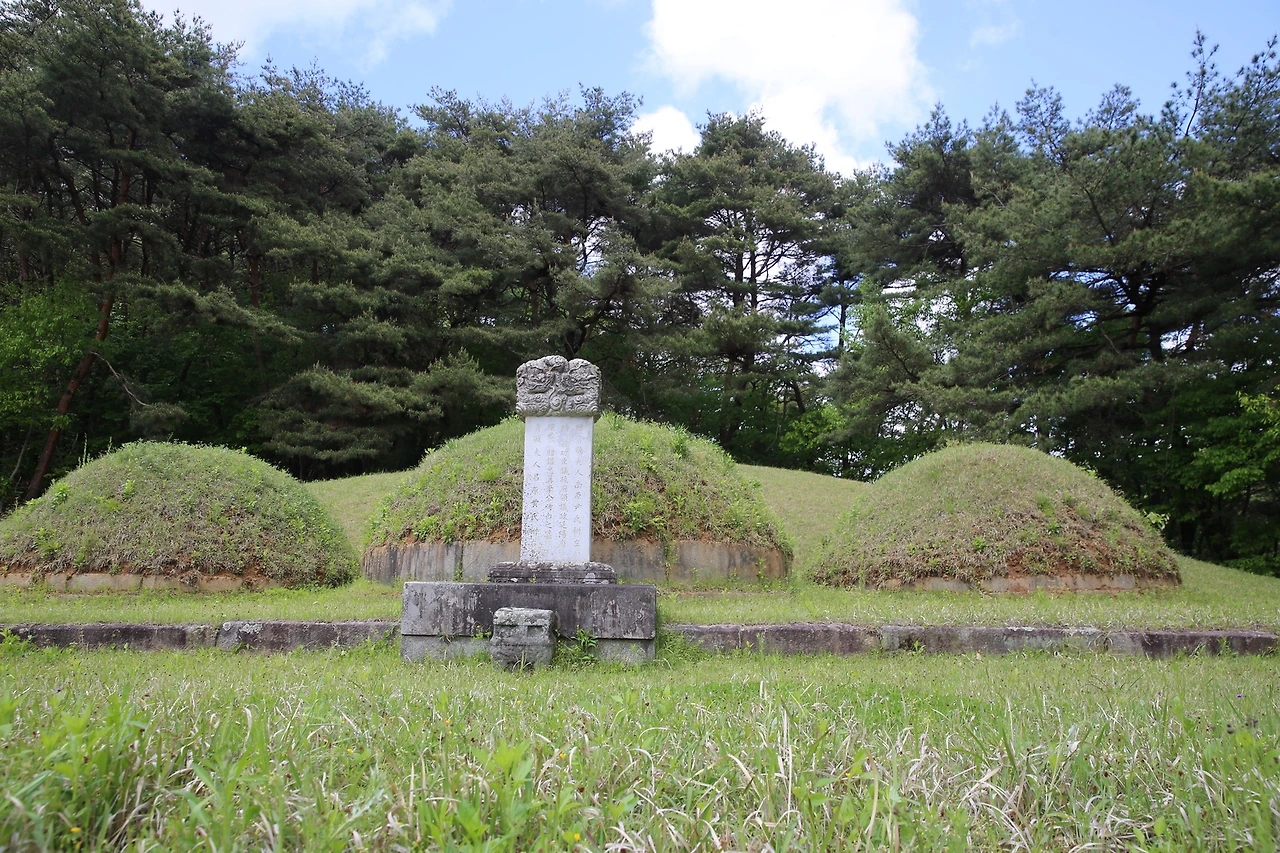 MG0A0754_новый размер.JPG