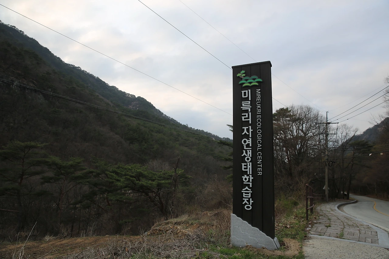 MG0A8389_новый размер.JPG