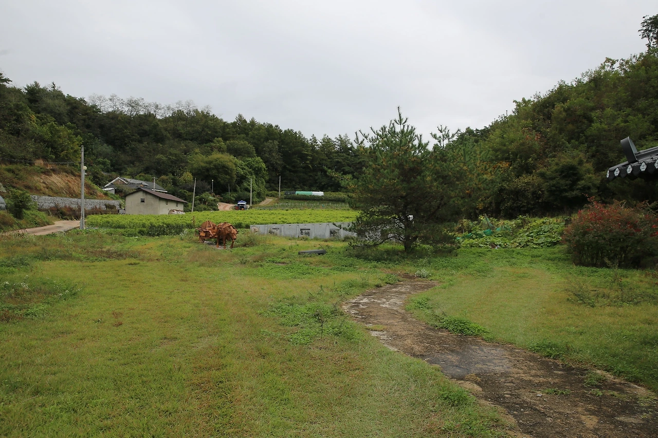 MG0A6389_новый размер.JPG