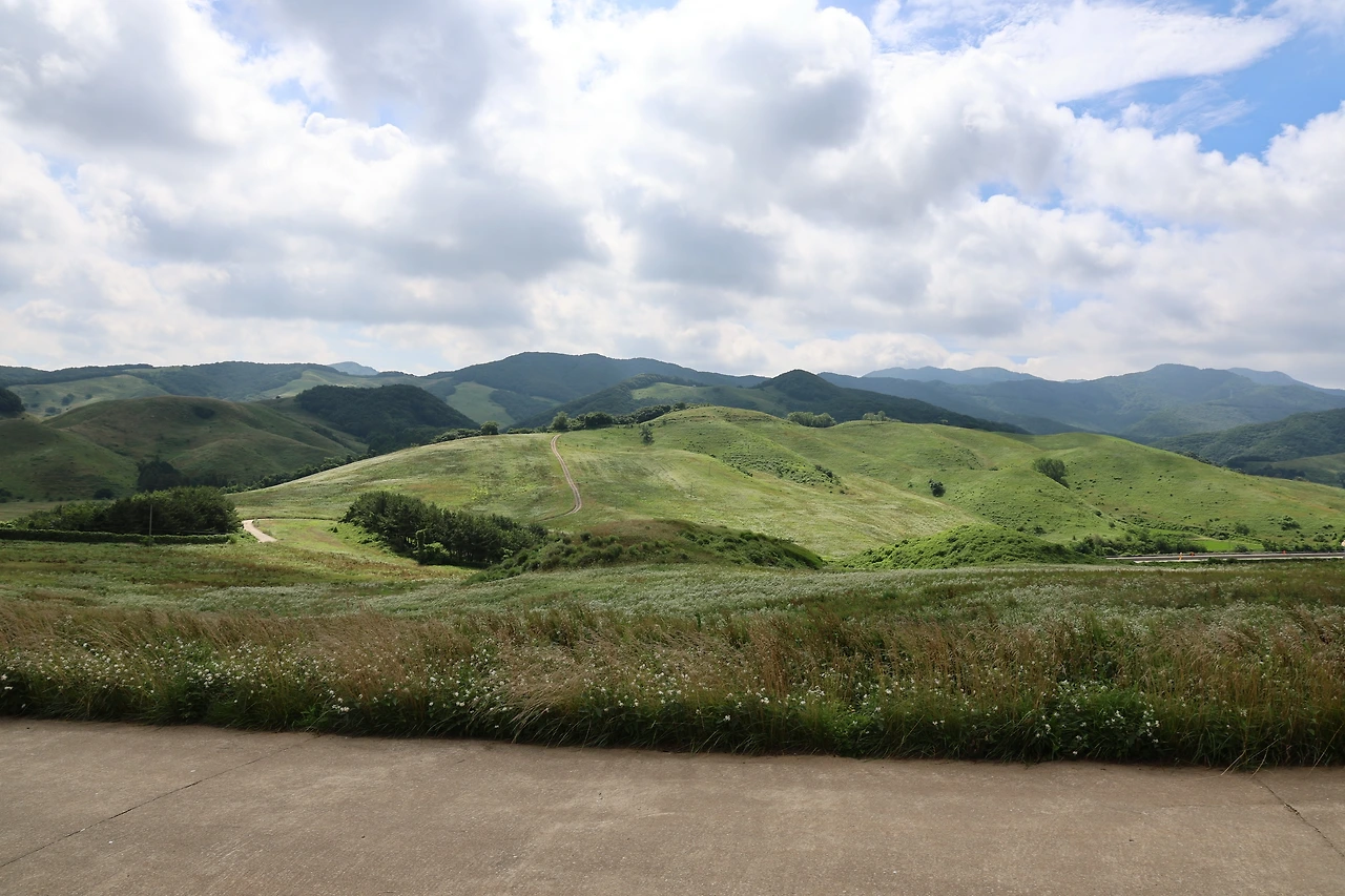 0R5A7220_новый размер.JPG