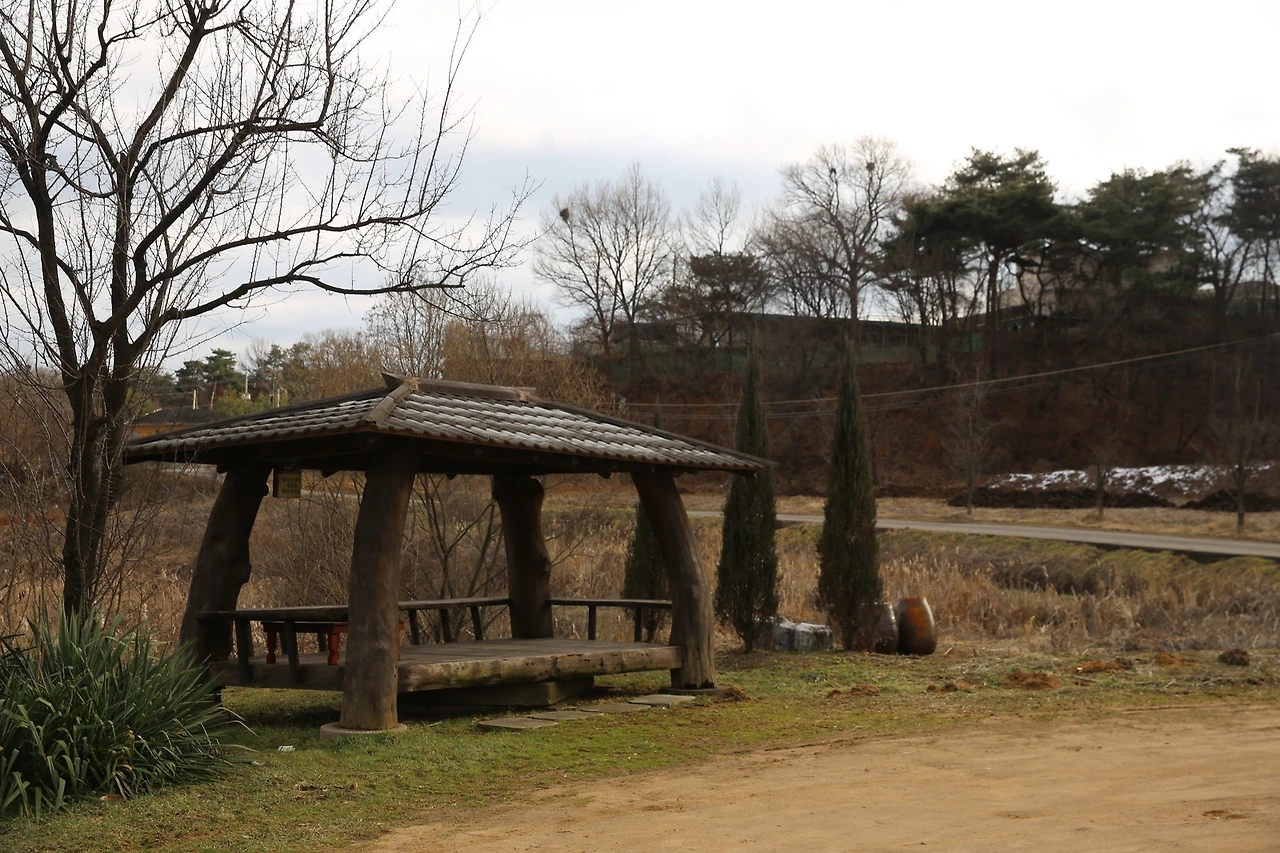 MG0A1388_новый размер.JPG