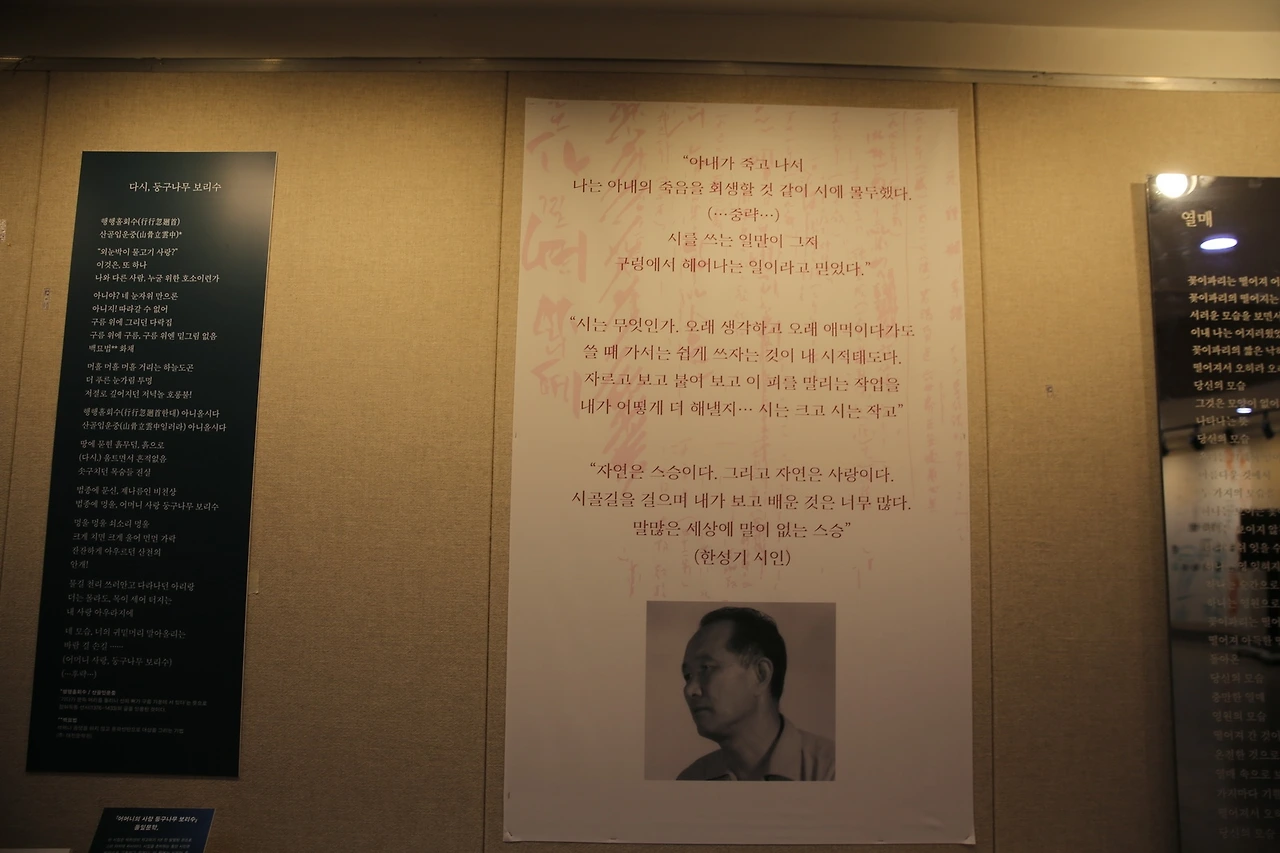 MG0A3240_новый размер.JPG