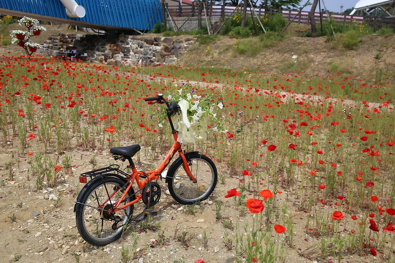 MG0A4307_новый размер.JPG