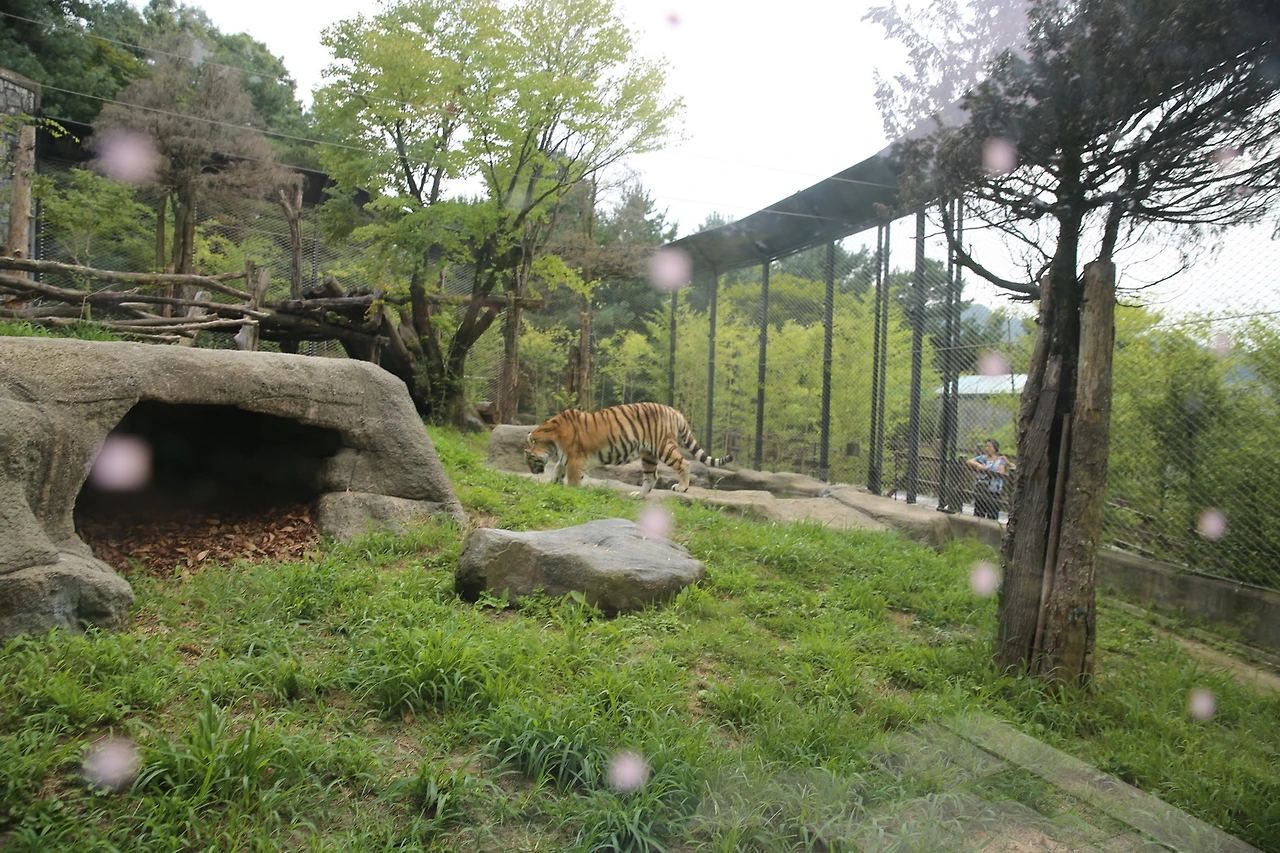 MG0A9629_новый размер.JPG