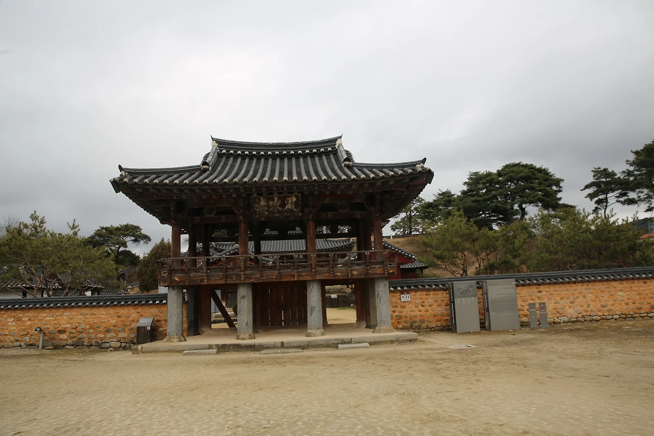 MG0A0459_новый размер.JPG