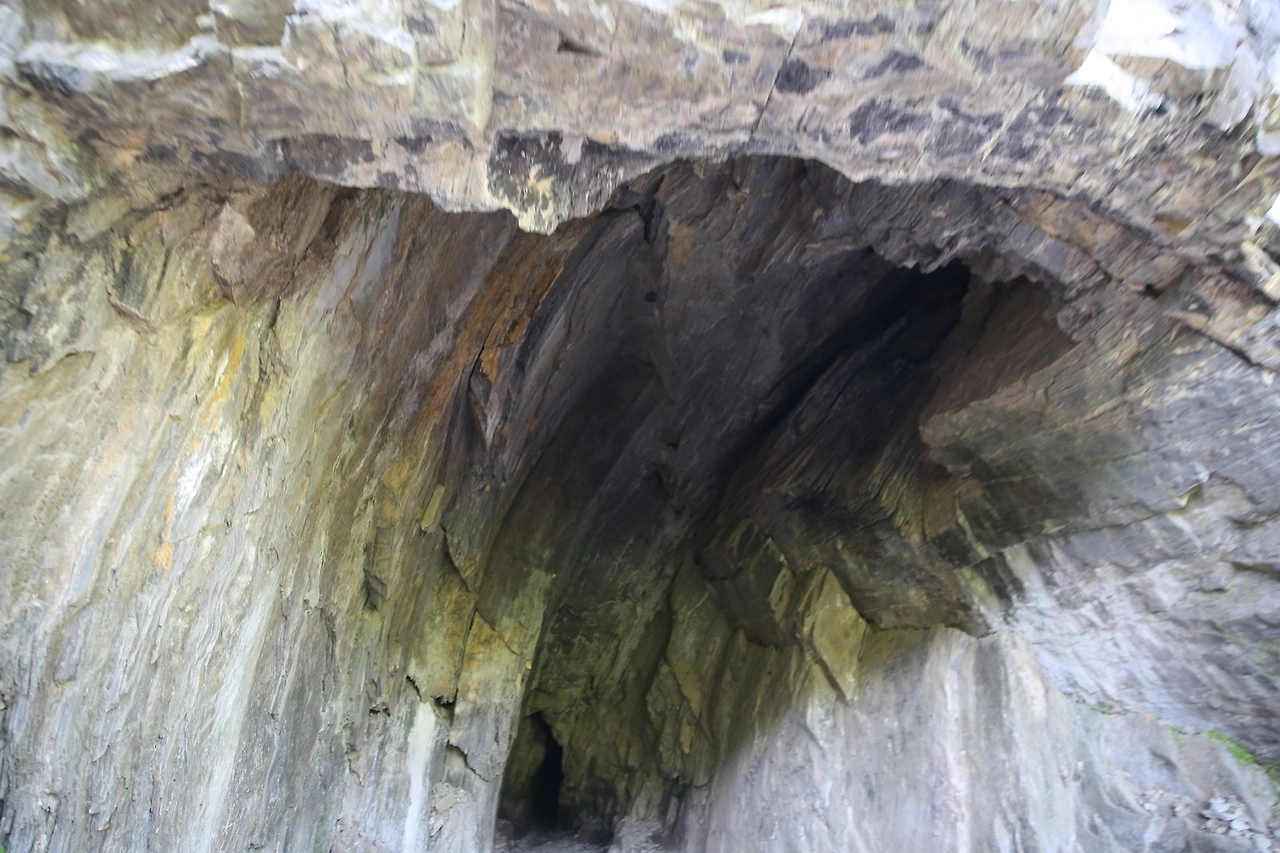 MG0A7959_новый размер.JPG