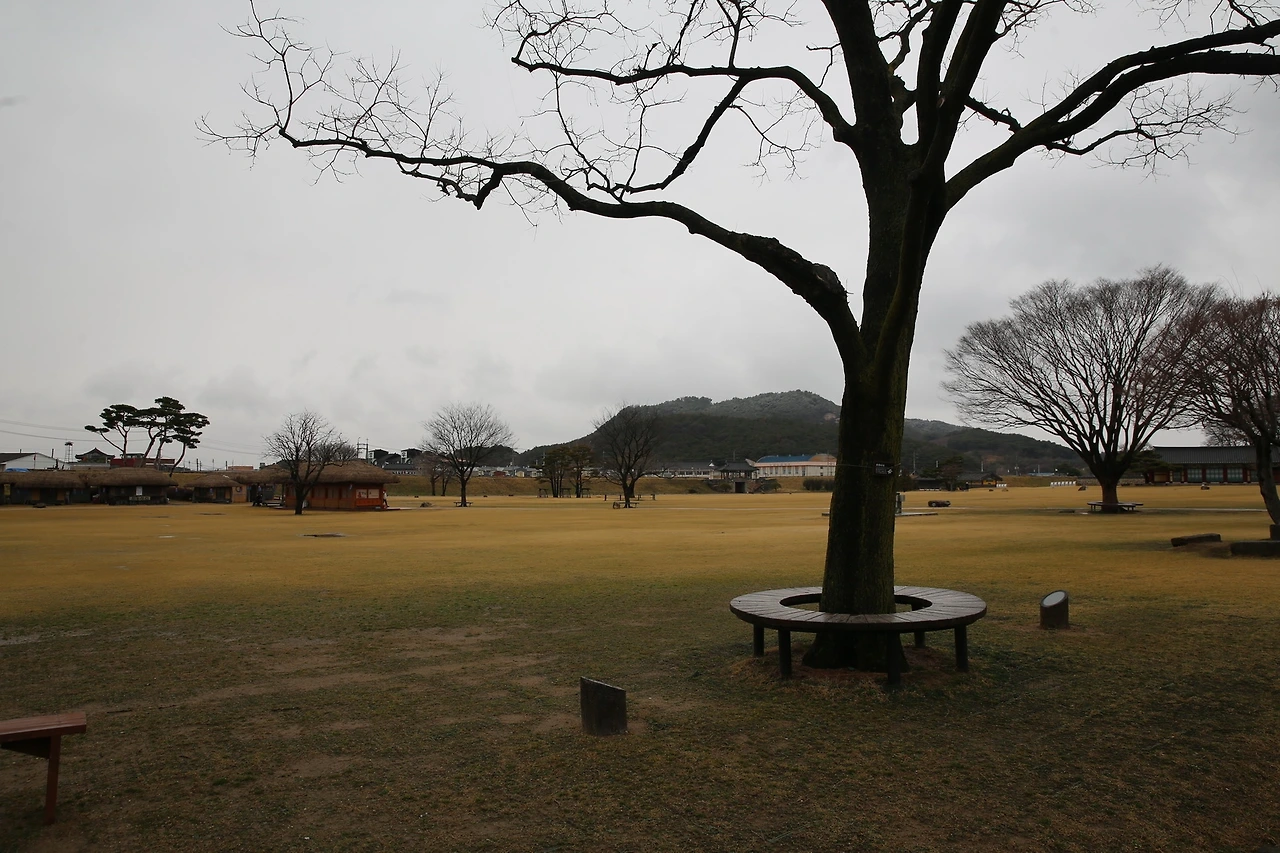 MG0A0608_новый размер.JPG