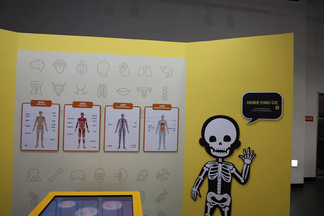 0R5A4603_новый размер.JPG