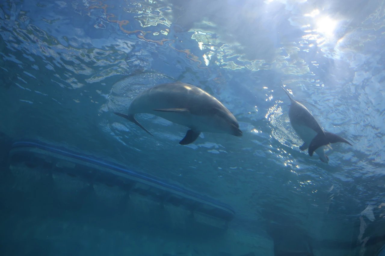 0R5A2291_новый размер.JPG