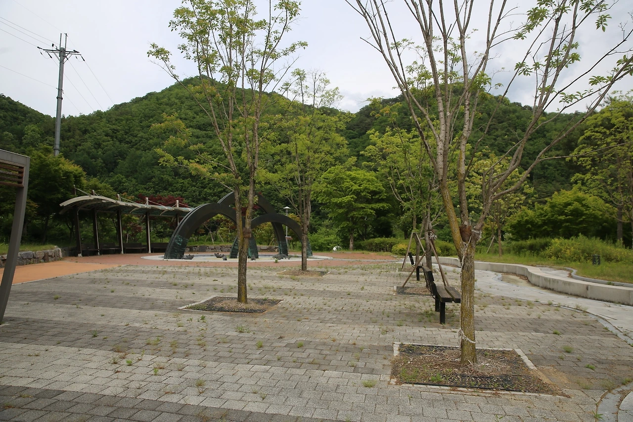 MG0A9927_новый размер.JPG