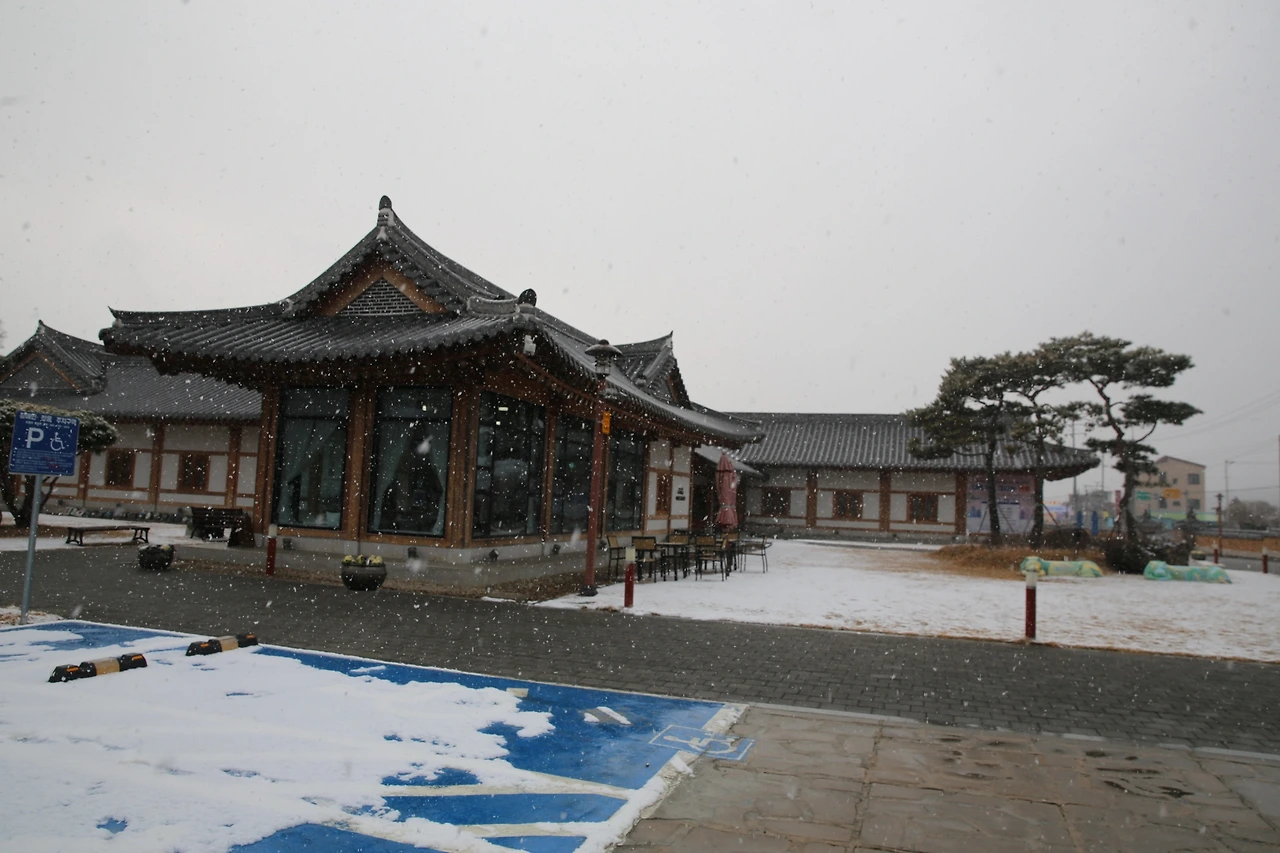 MG0A6136_новый размер.JPG