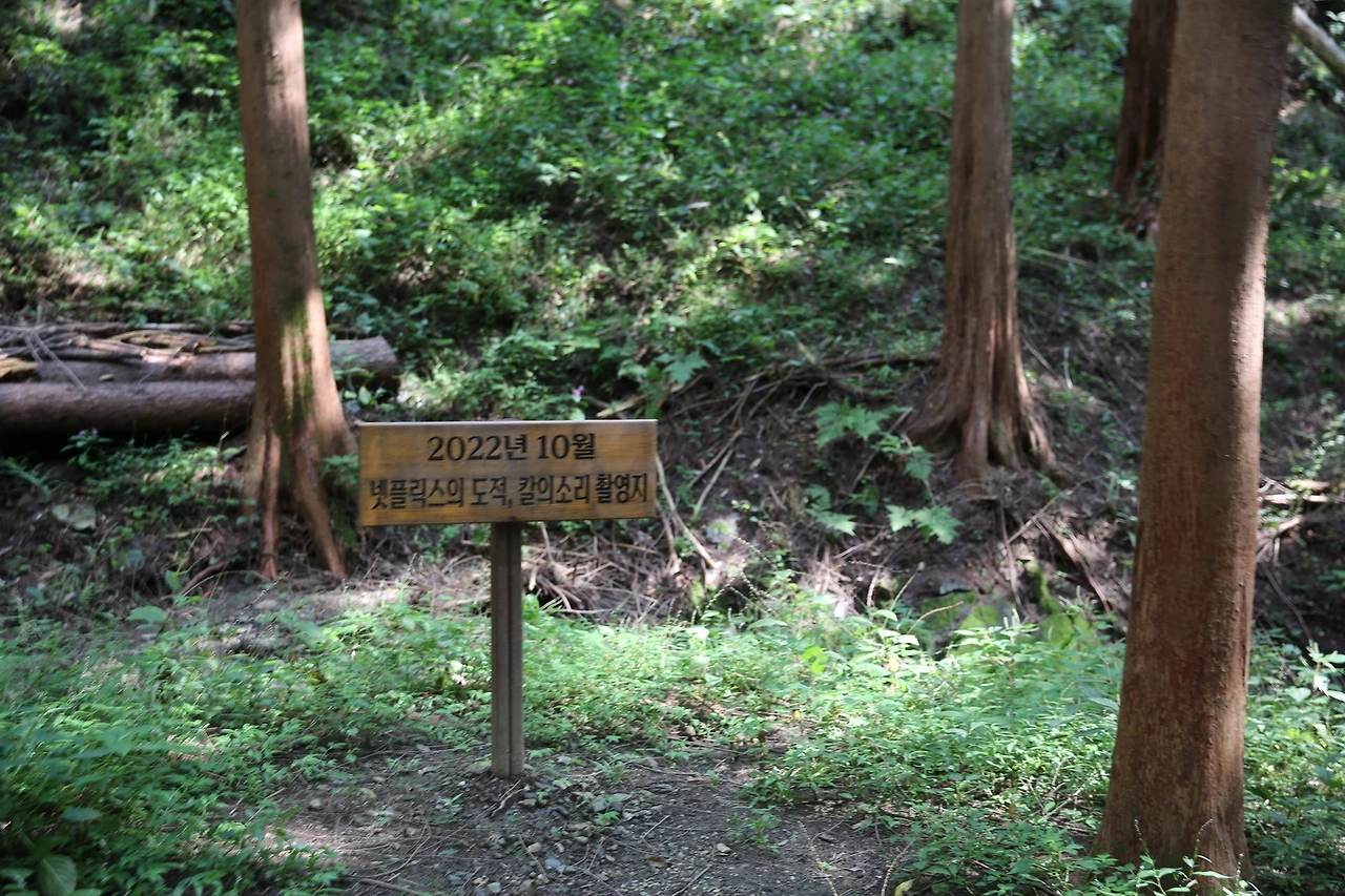 MG0A1531_новый размер.JPG