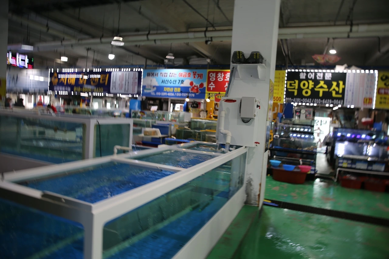 MG0A0704_новый размер.JPG