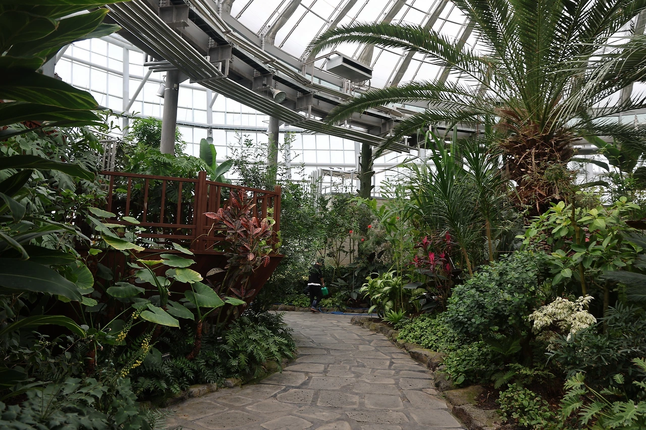 0R5A7531_новый размер.JPG