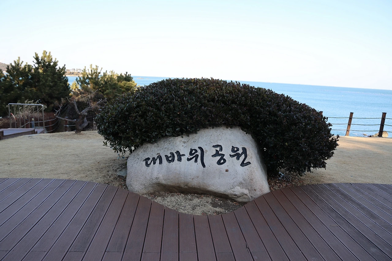 0R5A7894_новый размер.JPG