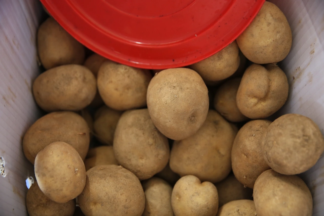 MG0A4020_новый размер.JPG