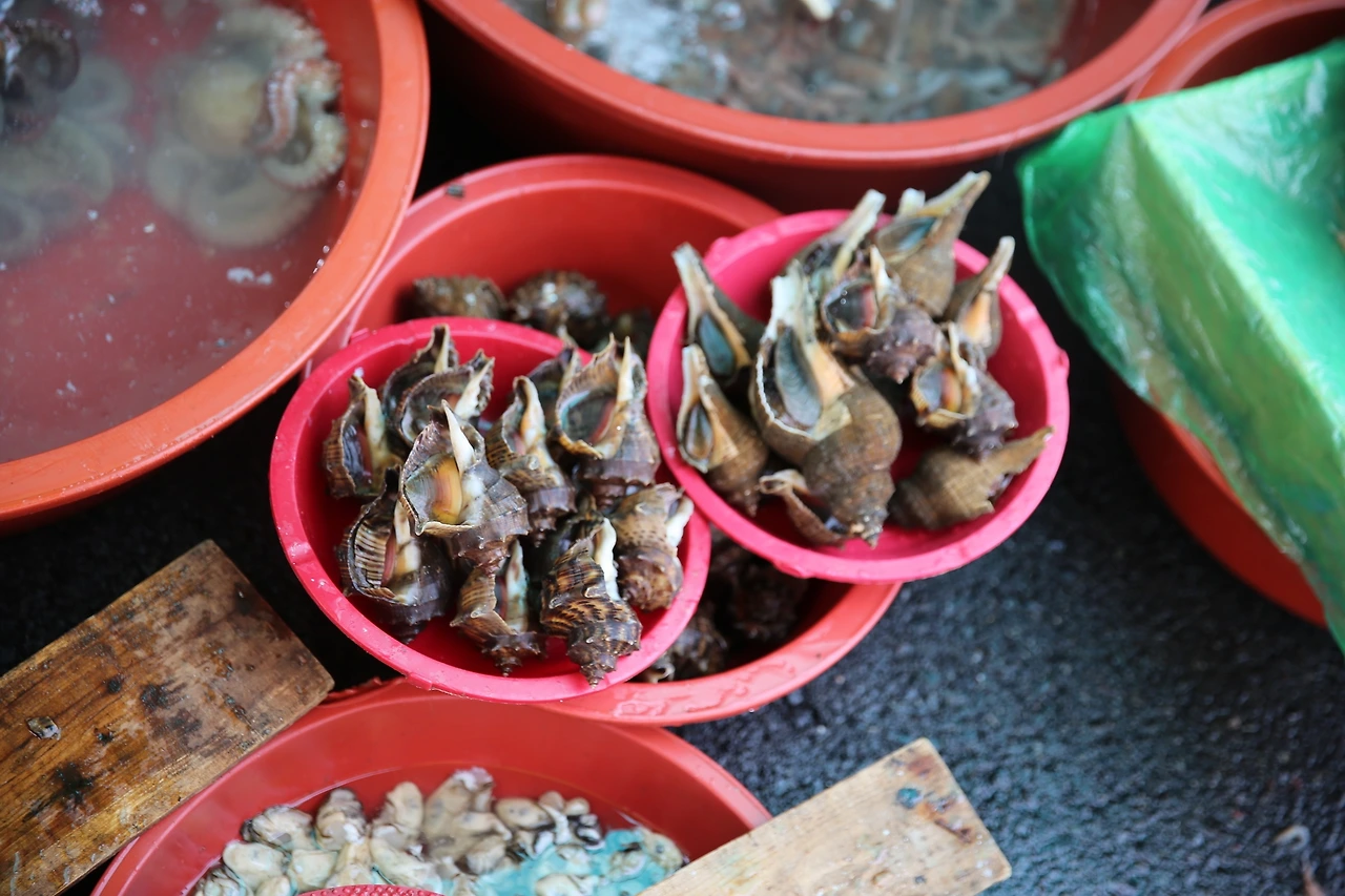 MG0A0436_новый размер.JPG