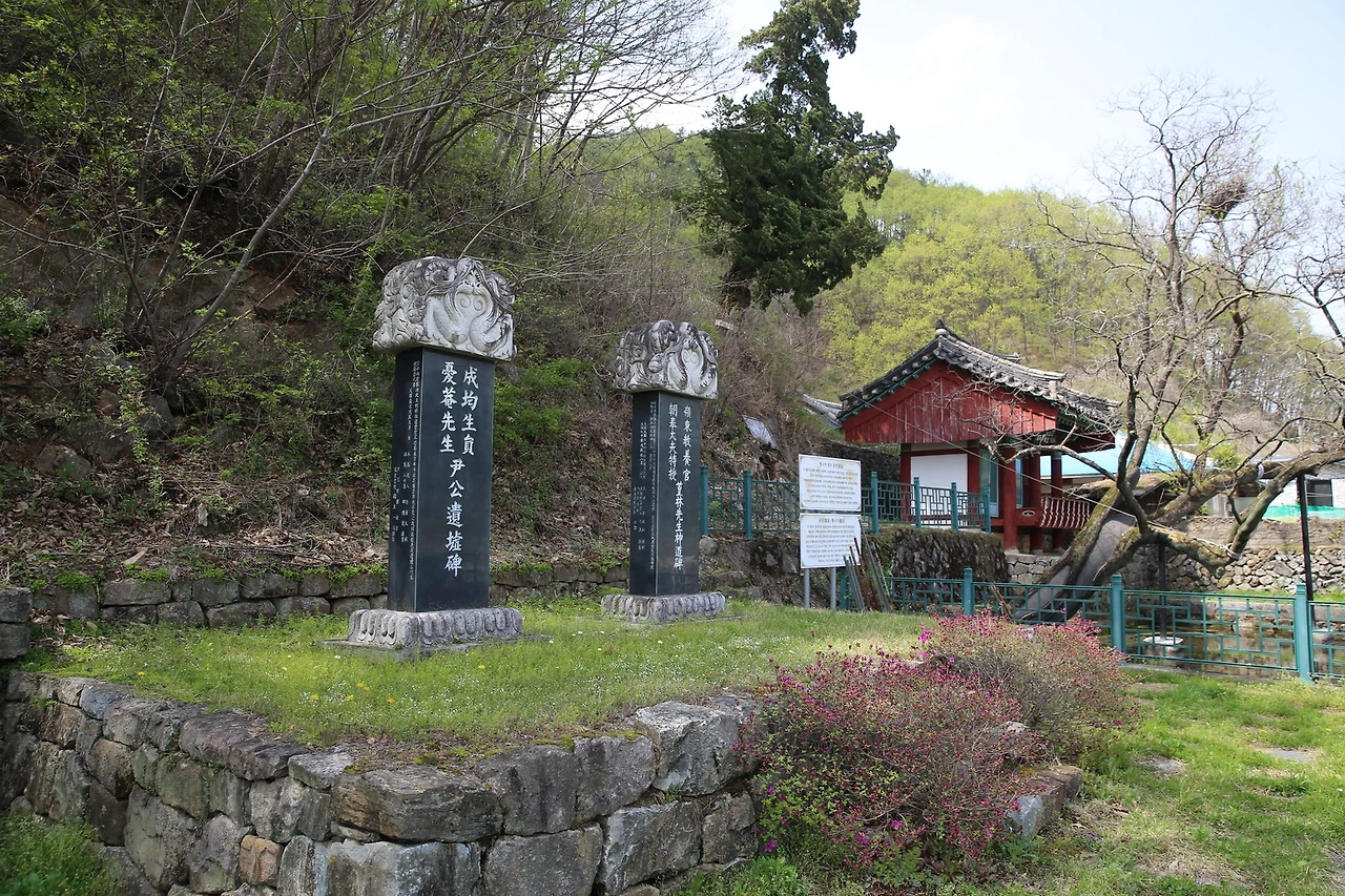 MG0A9753_новый размер.JPG