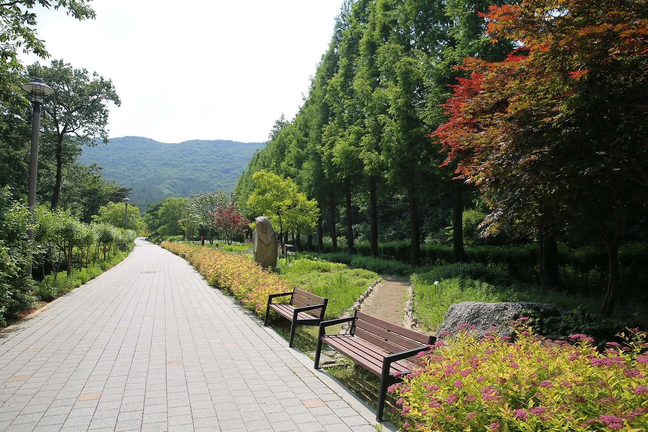 MG0A6360_новый размер.JPG