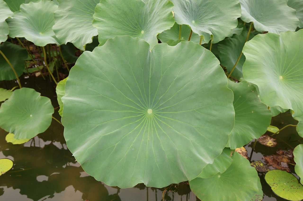 0R5A2777_новый размер.JPG