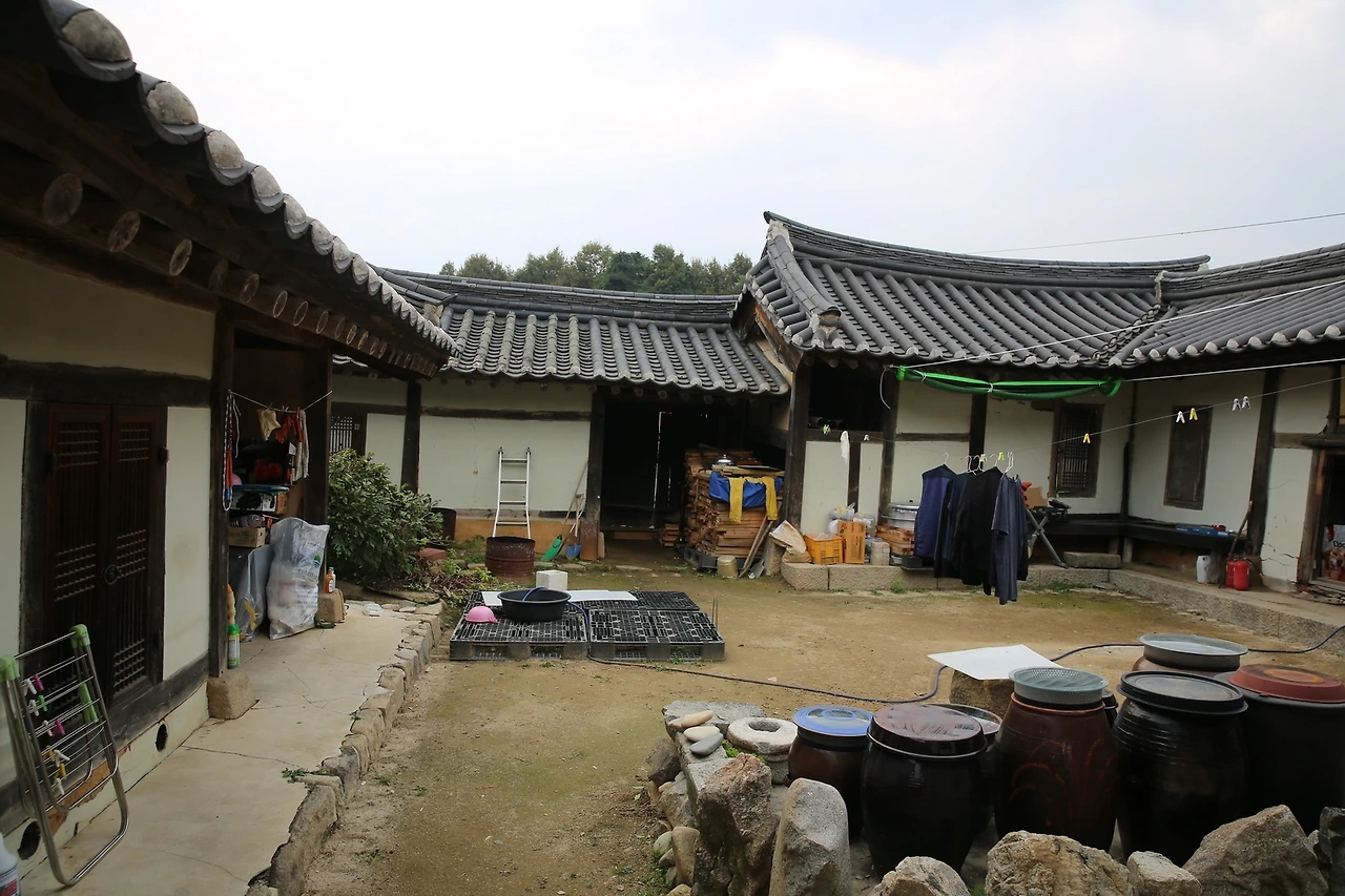 MG0A7586_новый размер.JPG