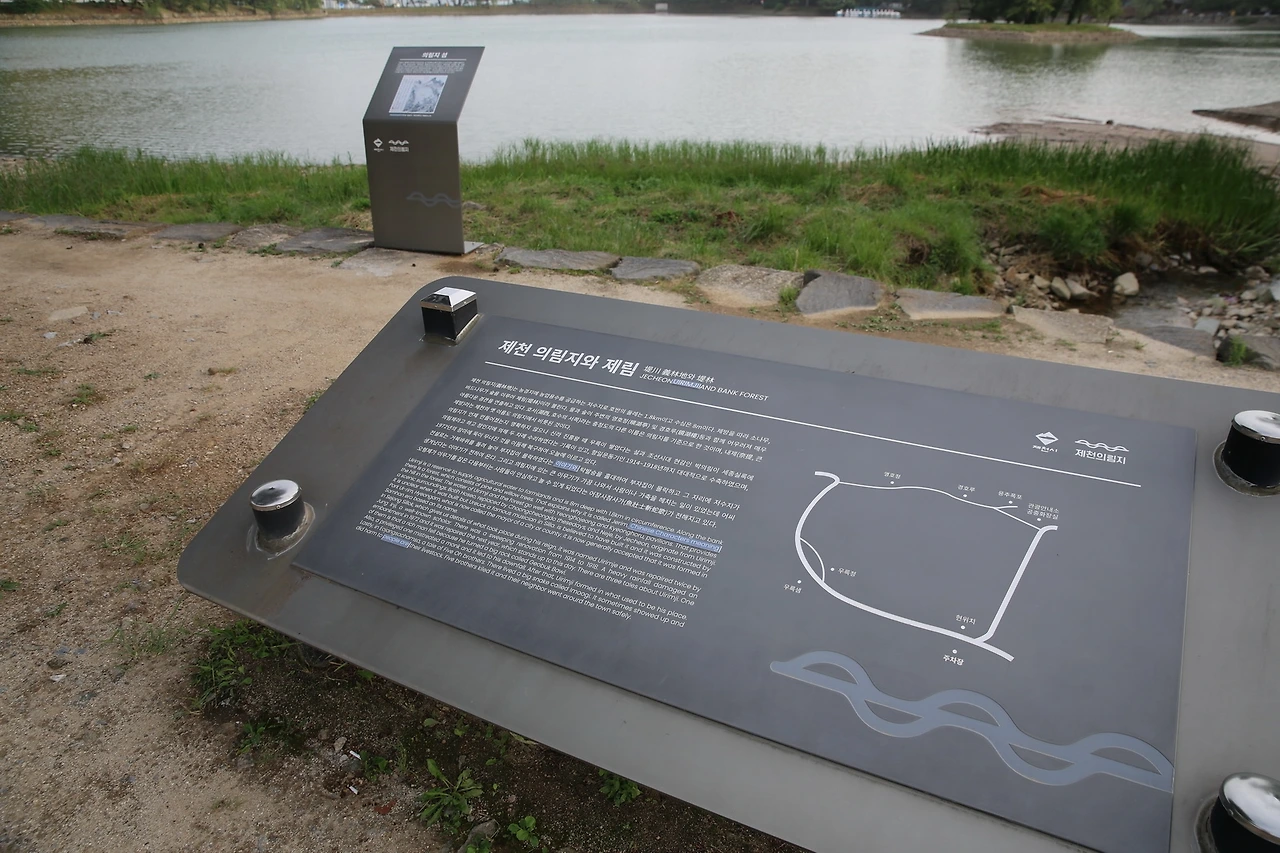 MG0A1199_новый размер.JPG