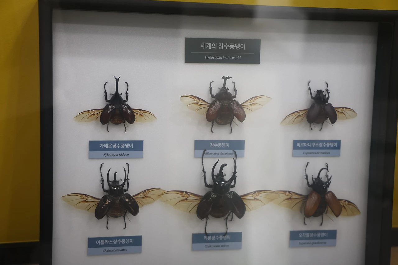 0R5A1843_новый размер.JPG