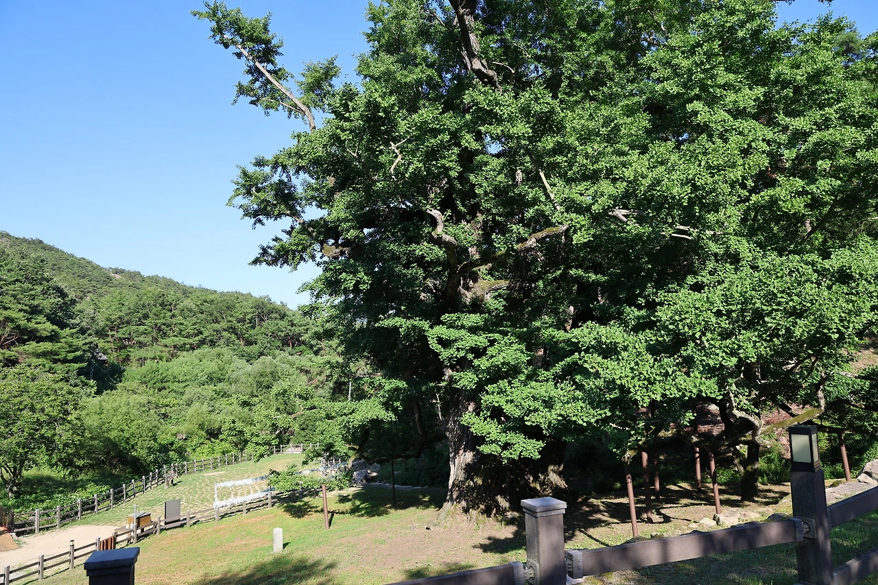 0R5A8062_новый размер.JPG