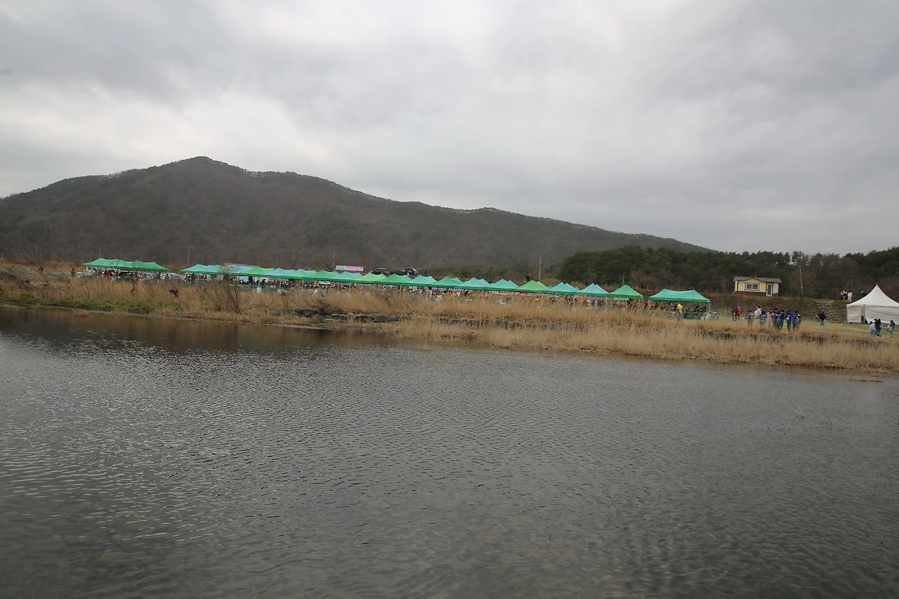 MG0A7946_новый размер.JPG