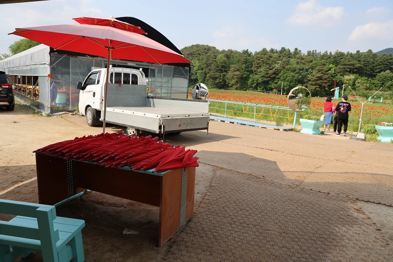 0R5A1519_новый размер.JPG