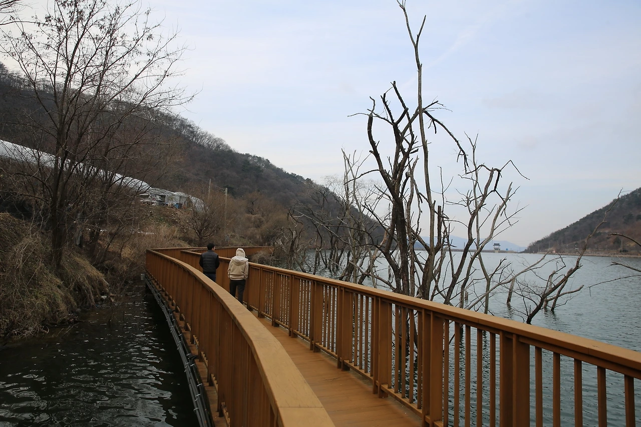 MG0A1594_новый размер.JPG