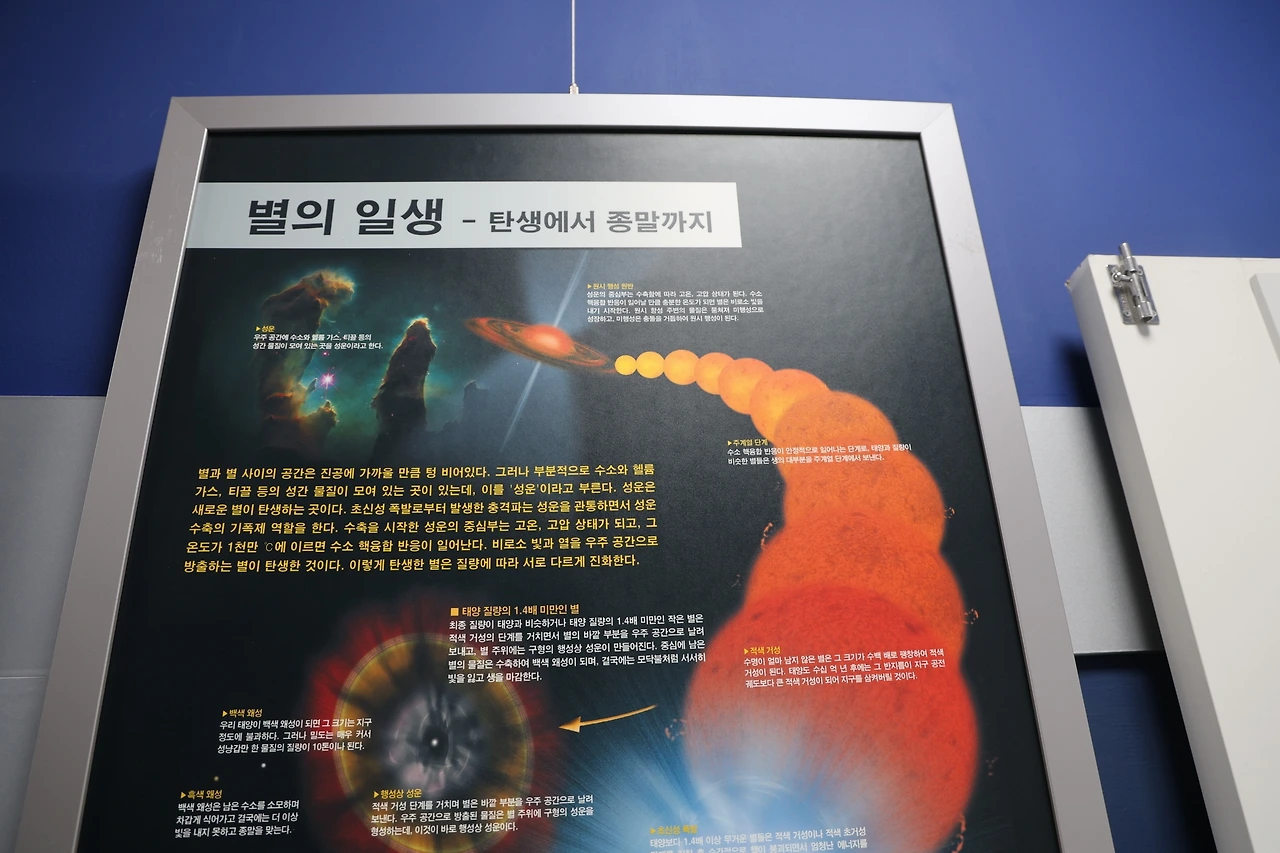 0R5A6089_новый размер.JPG