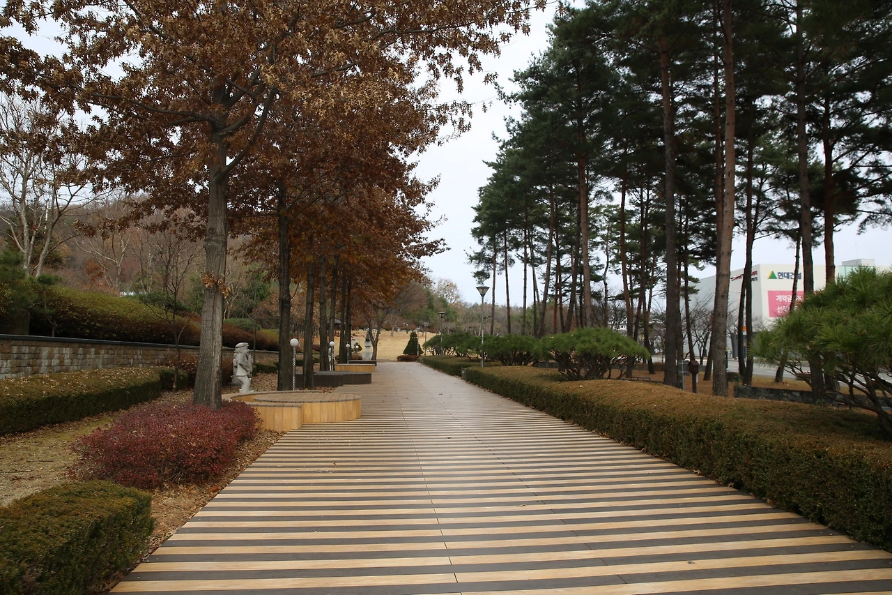 MG0A2622_новый размер.JPG