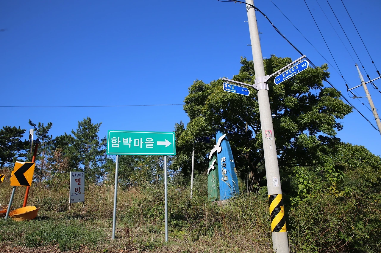 MG0A9100_новый размер.JPG