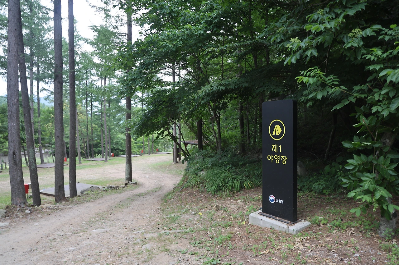 0R5A8658_новый размер.JPG