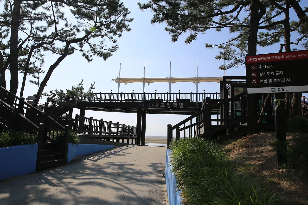 MG0A4617_новый размер.JPG