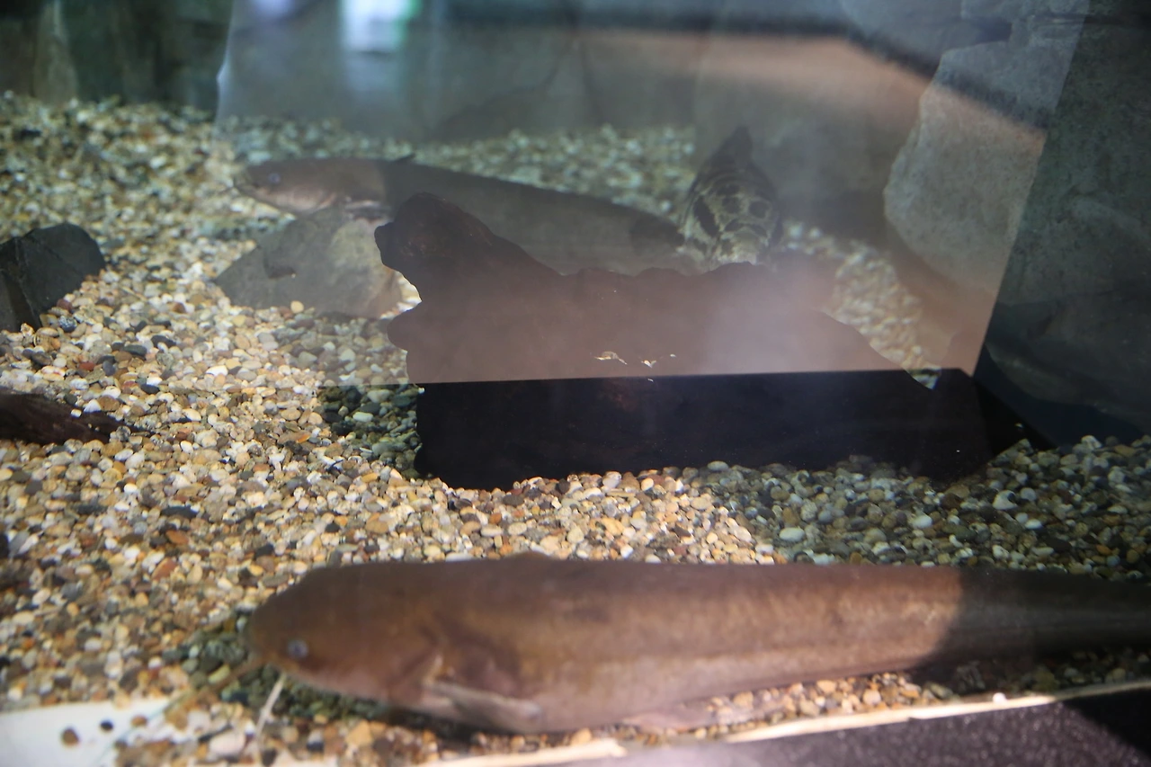 MG0A7709_новый размер.JPG