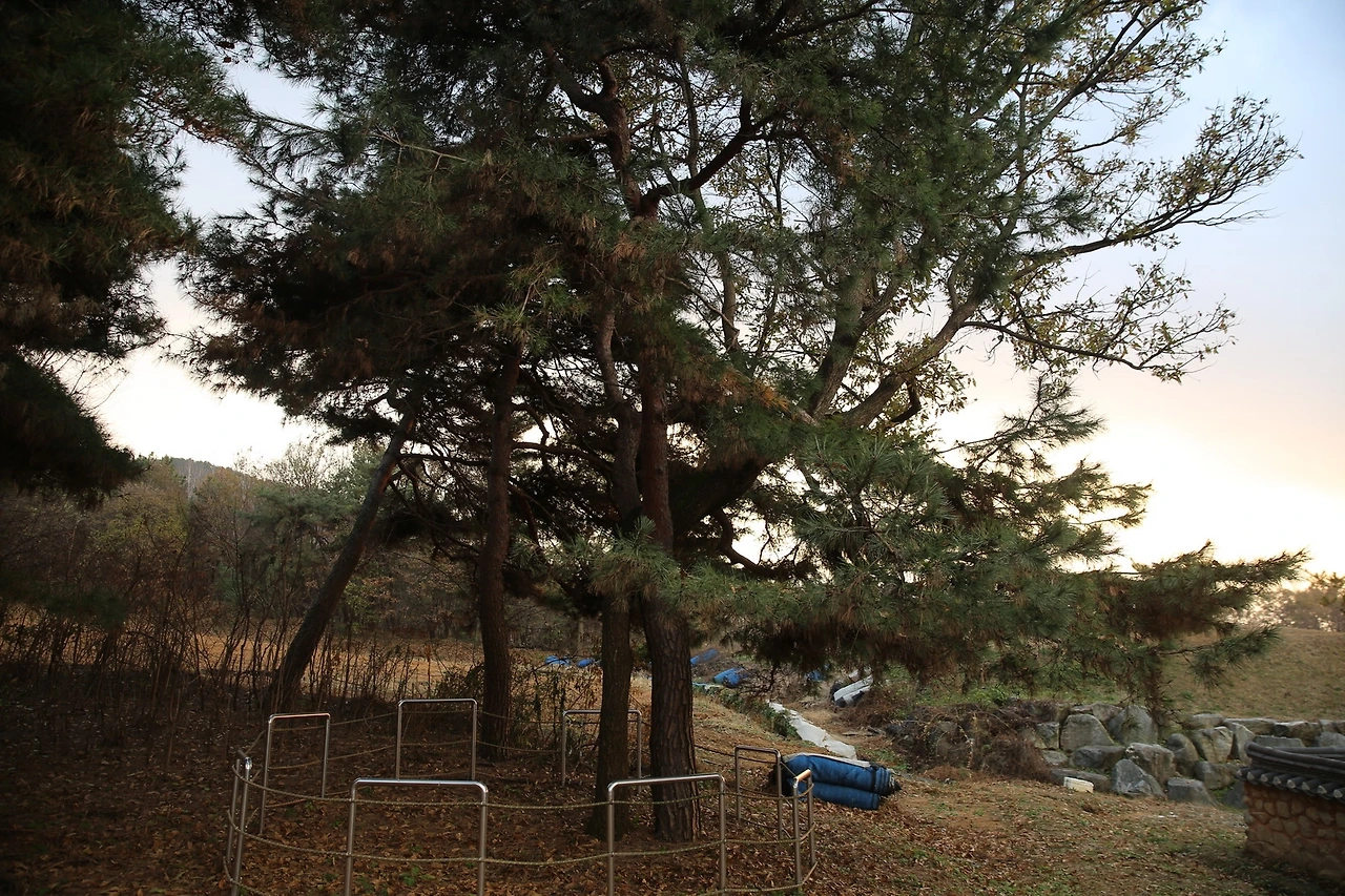 MG0A1320_новый размер.JPG