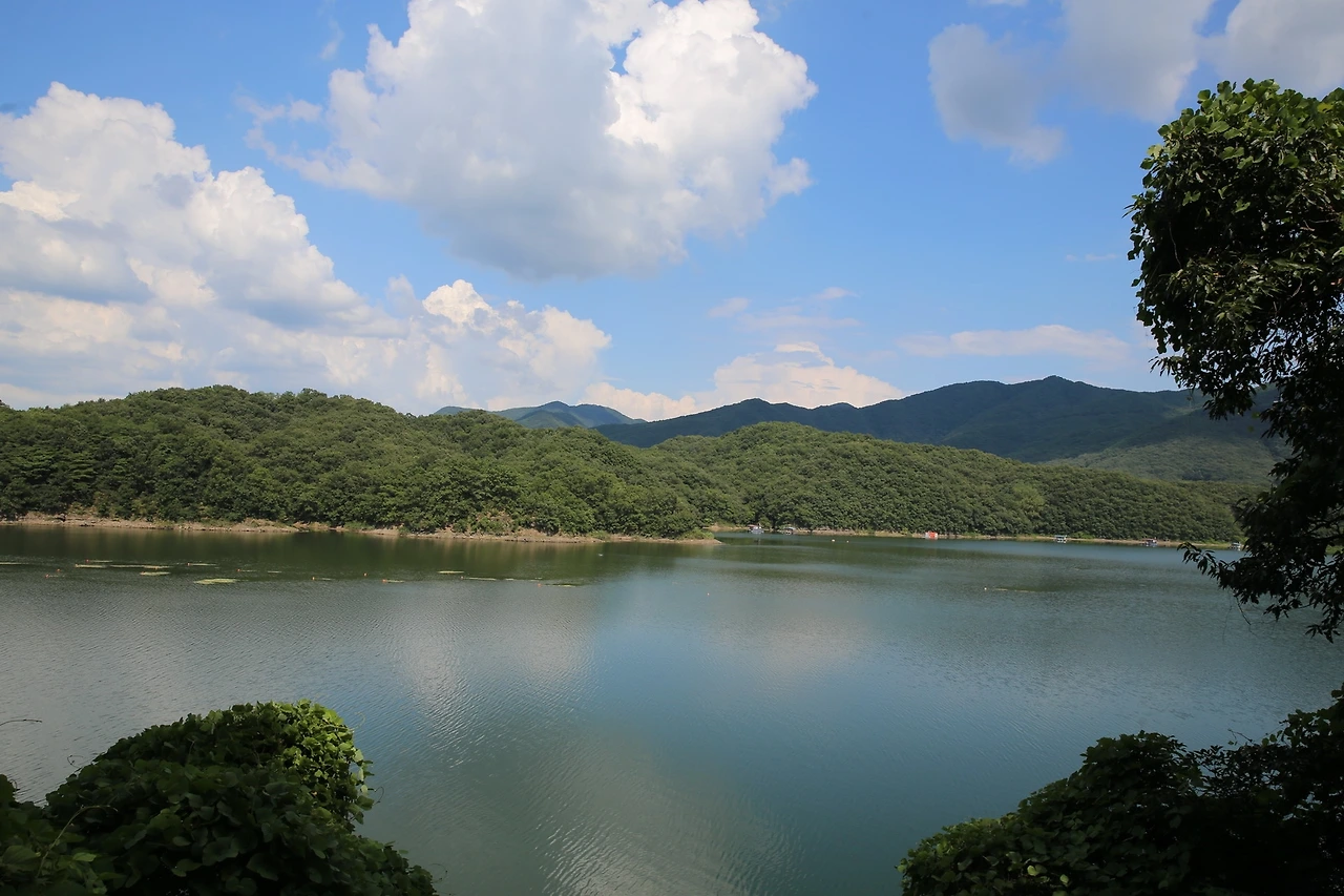 MG0A7934_новый размер.JPG