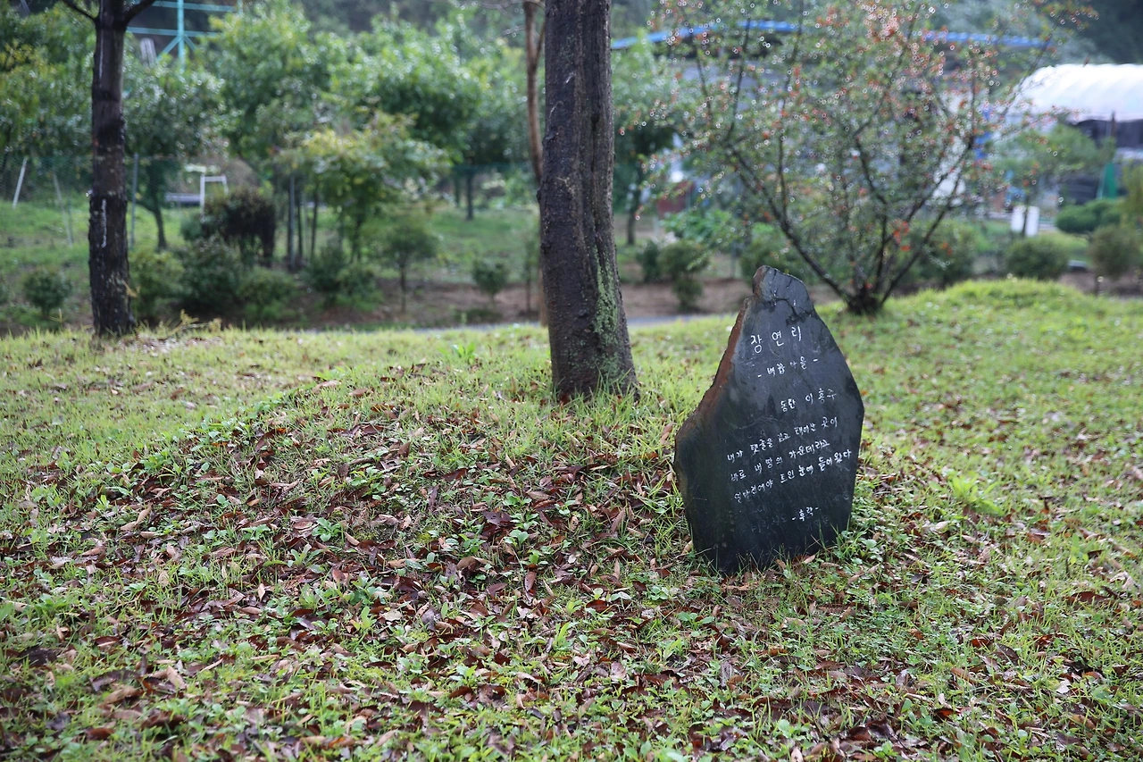 MG0A5566_новый размер.JPG