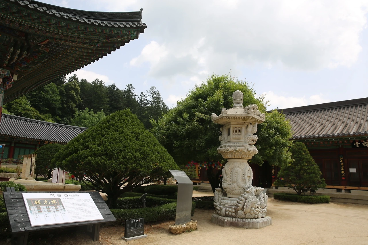 MG0A0784_новый размер - 복사본.JPG