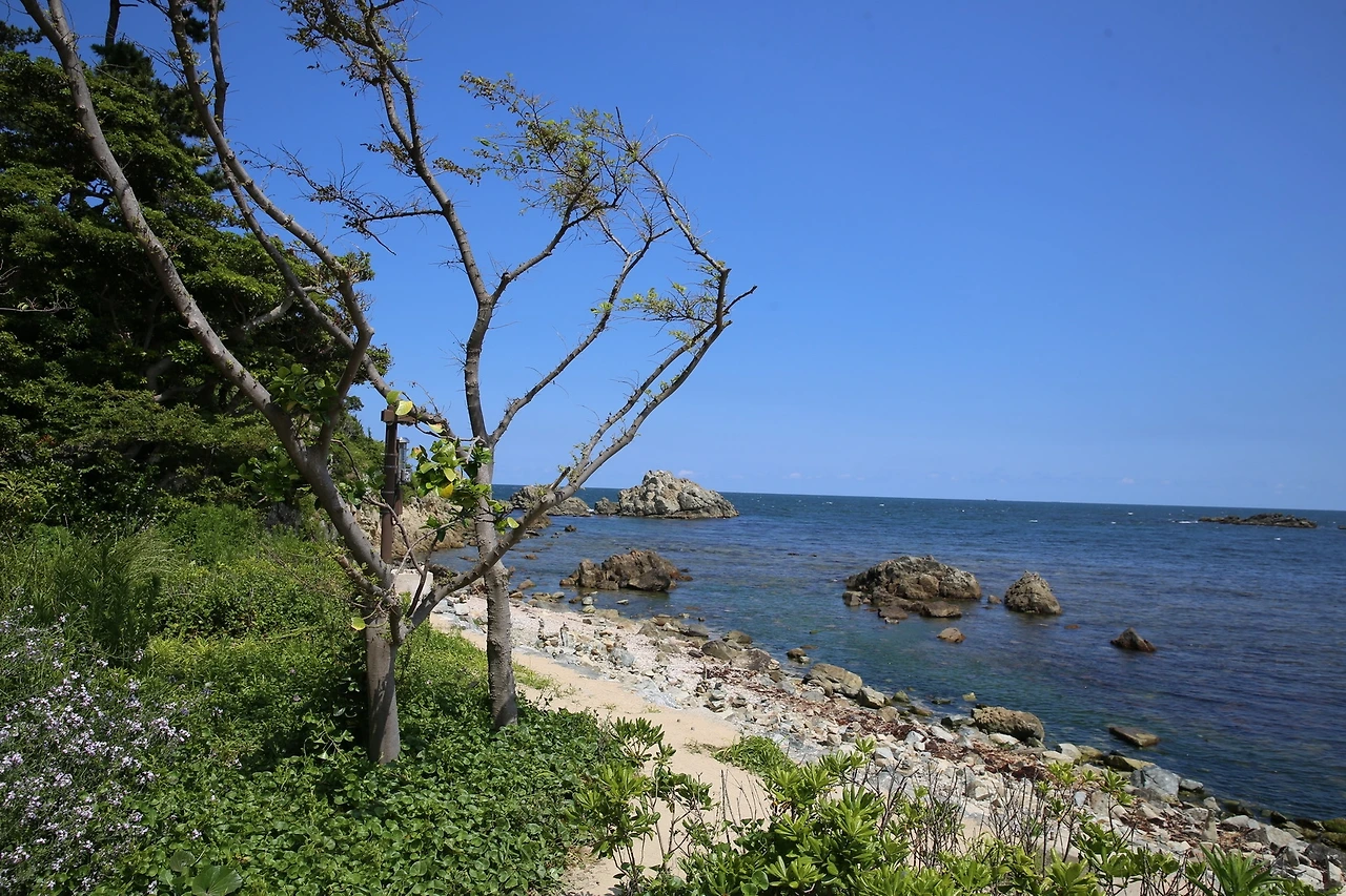 MG0A5914_новый размер.JPG