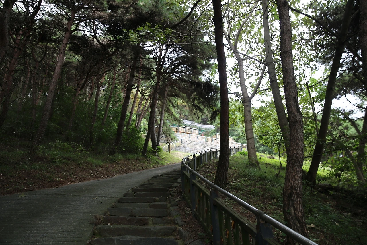 MG0A5145_новый размер.JPG