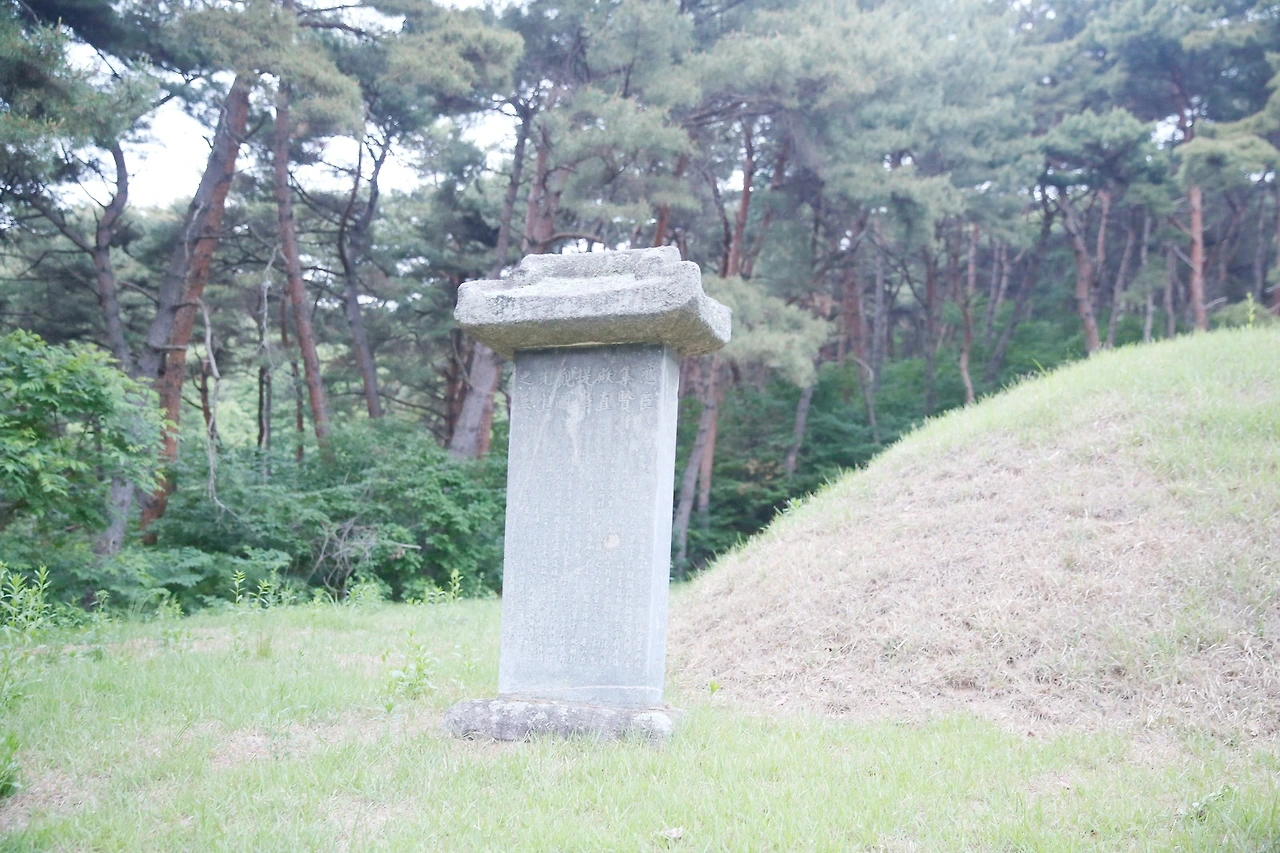 MG0A1220_новый размер_exposure.JPG