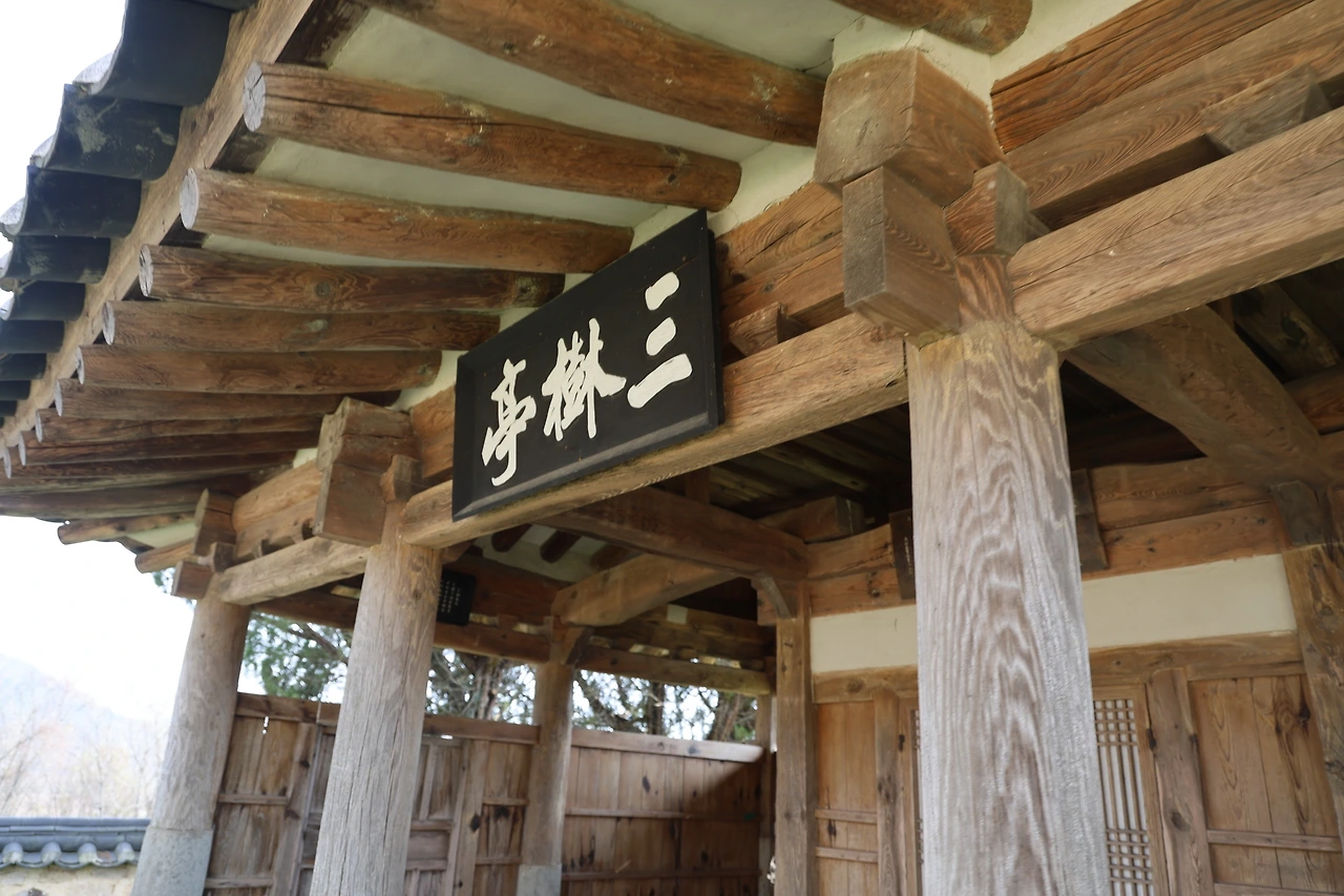 0R5A3354_новый размер.JPG