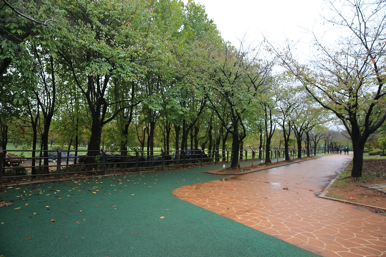 MG0A5216_новый размер.JPG