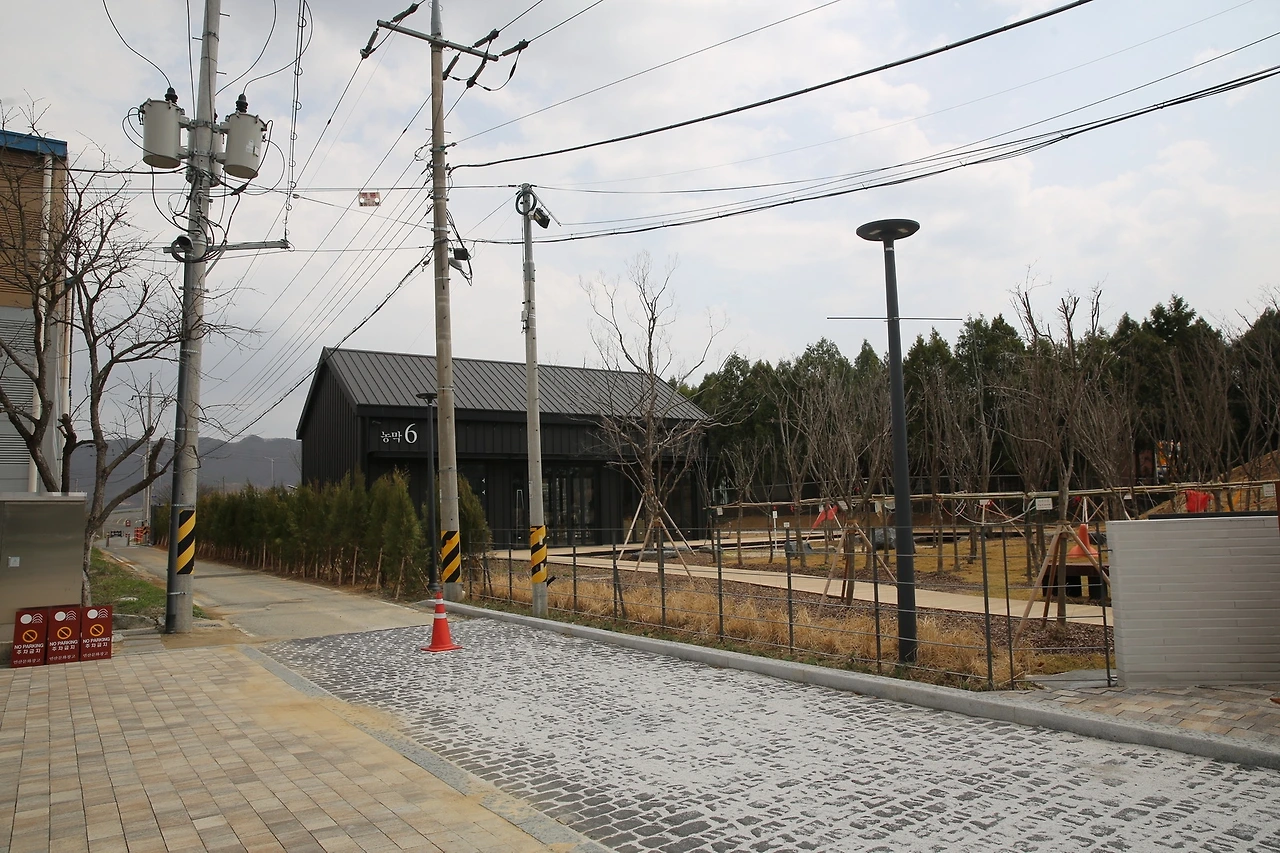 MG0A7904_новый размер.JPG