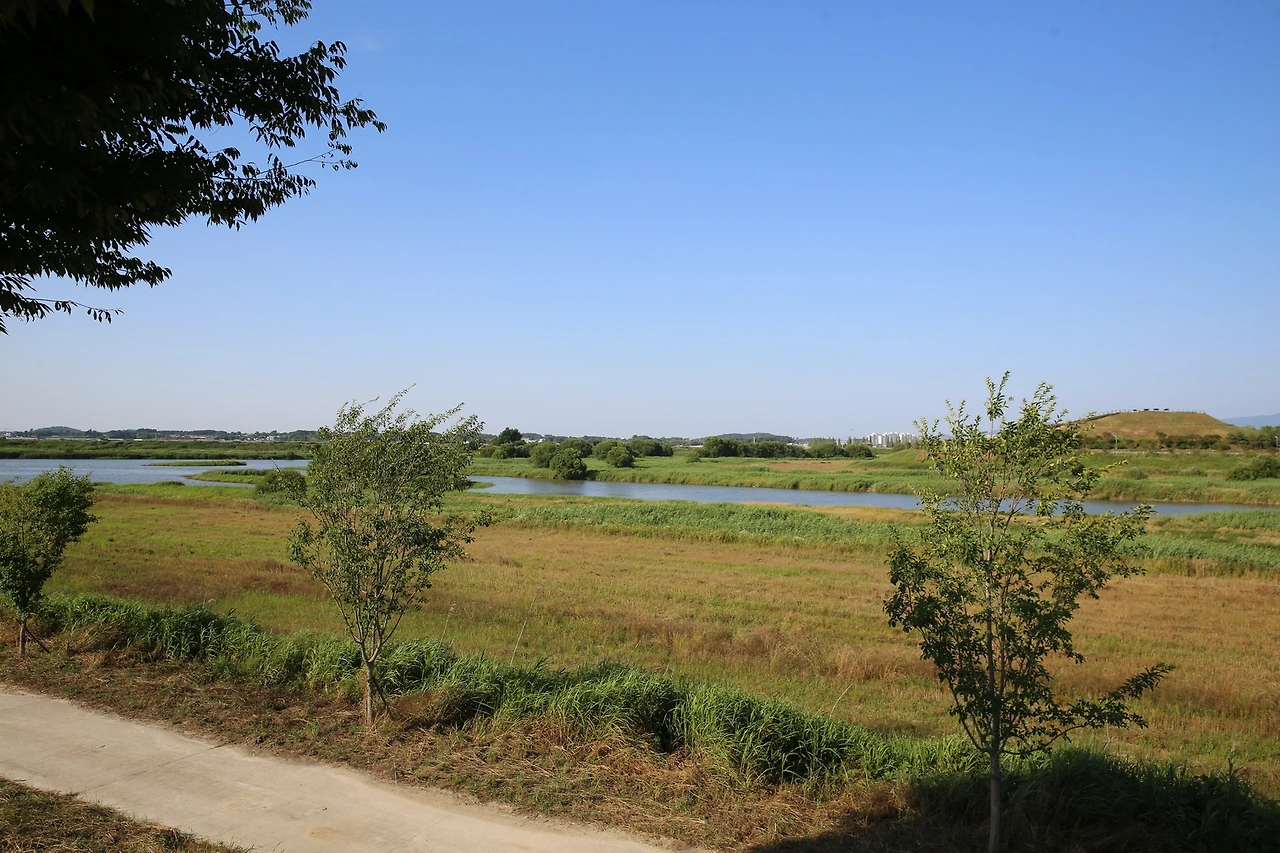 MG0A9067_новый размер.JPG