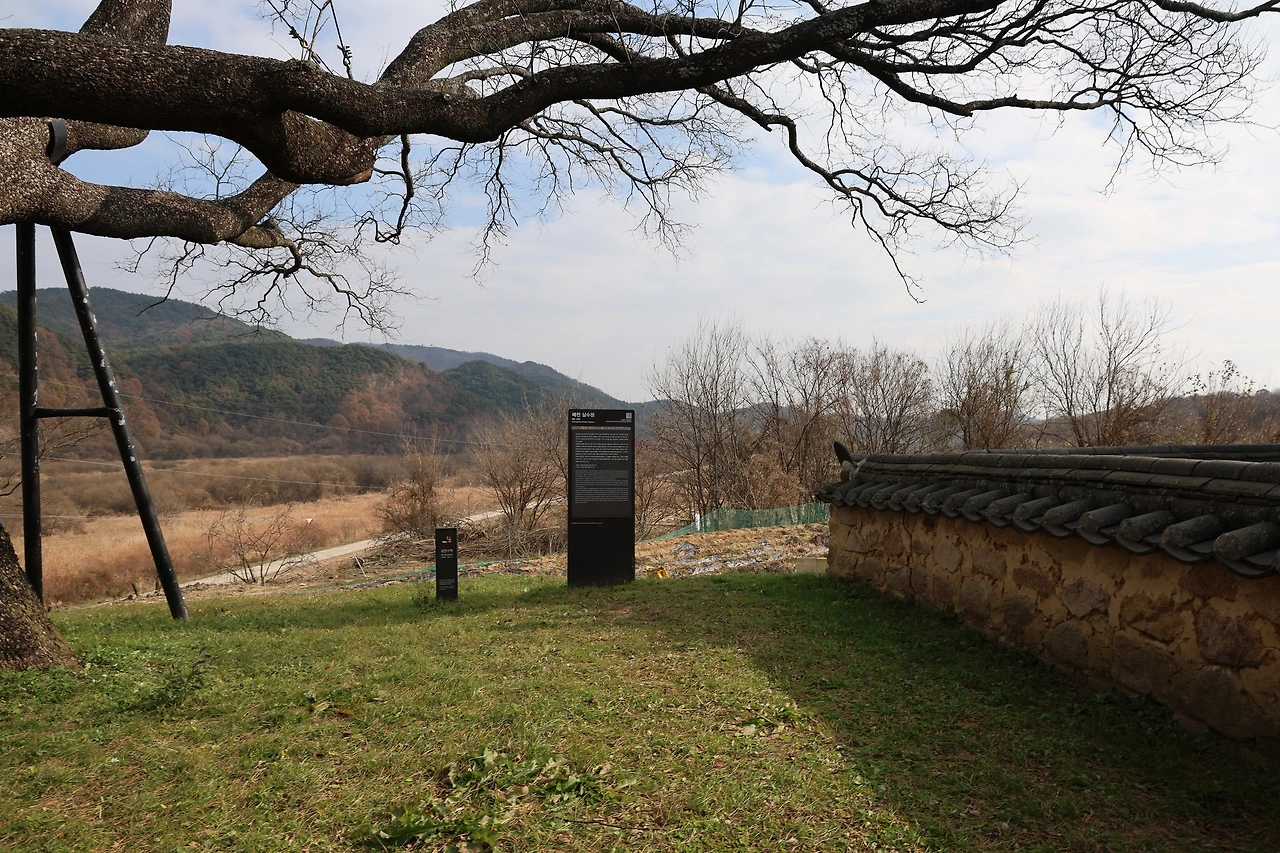 0R5A3346_новый размер.JPG