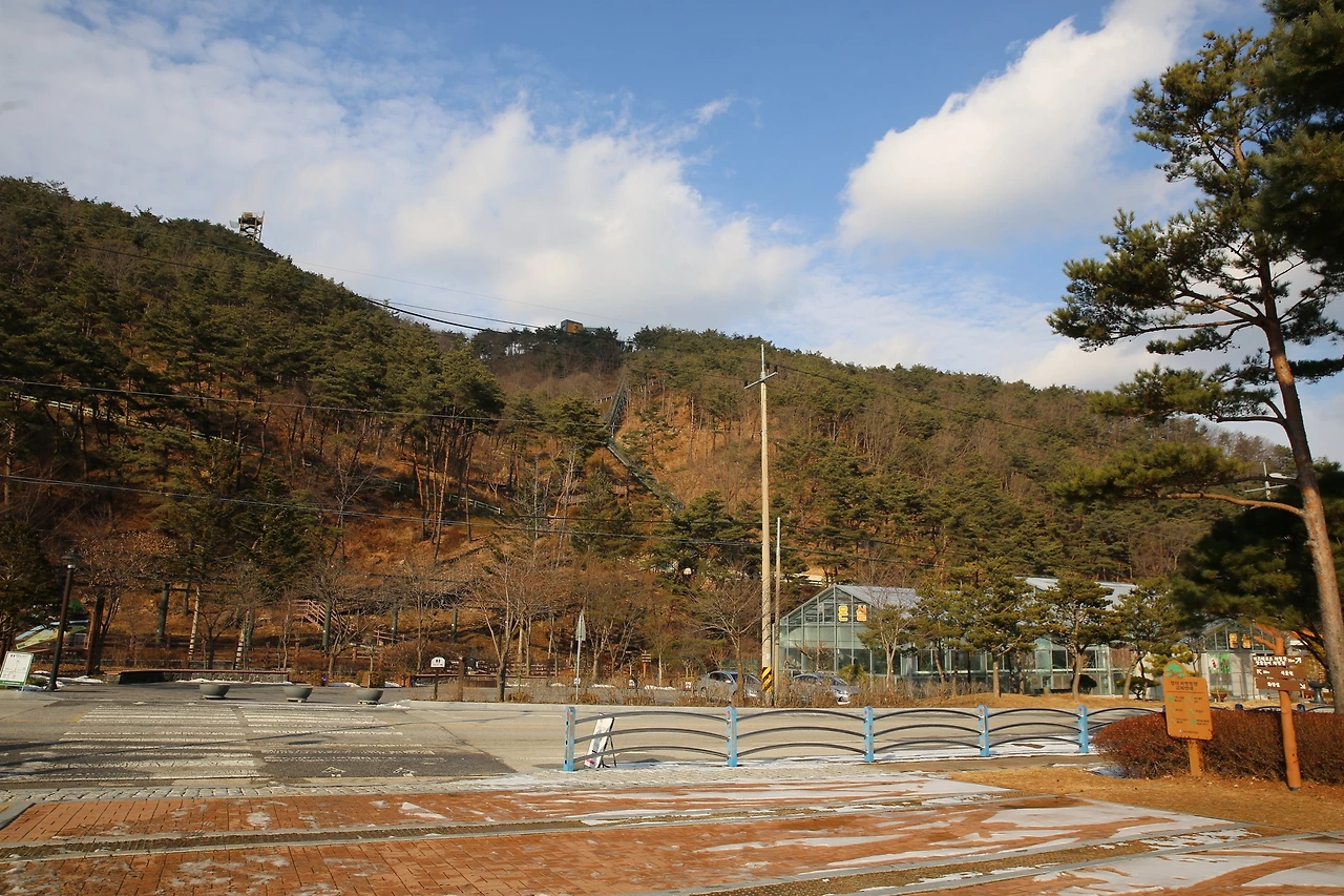 MG0A5429_новый размер.JPG